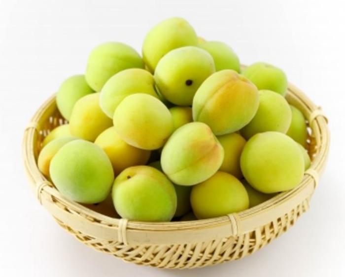 自家製のジャスミン梅酒を作るための青梅、氷砂糖、ジャスミン茶葉、ホワイトリカーの材料