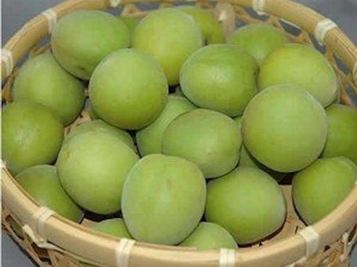 梅酒の時期に最適な青梅と完熟梅の比較写真