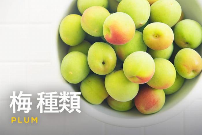 梅酒作りの時期に選ぶ青梅と完熟梅の色の違いと特徴を比較した画像