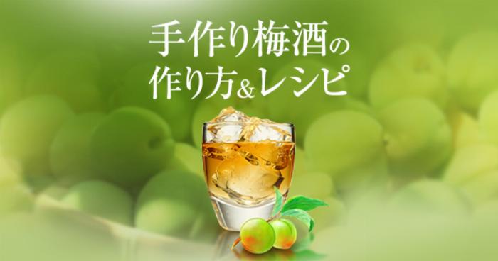 瓶に青梅と氷砂糖を交互に入れる泡盛梅酒の作り方の工程