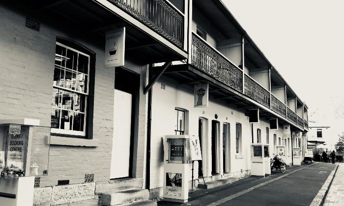 コストコの棚に並ぶ様々な種類の梅酒ボトル、特にチョーヤやにごり梅酒が目立つ様子