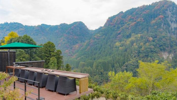 日田梅酒の異なる種類の飲み比べセットが木製のトレイに並んでいる様子