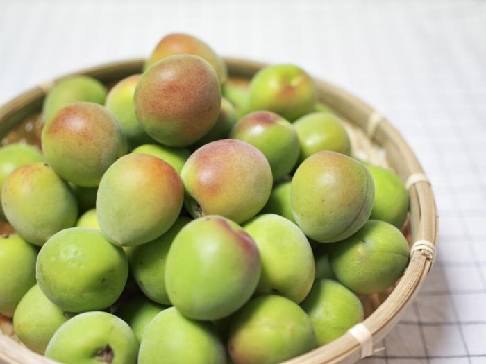 日付ラベルが貼られた手作り梅酒の瓶がいくつか並んで熟成されている様子