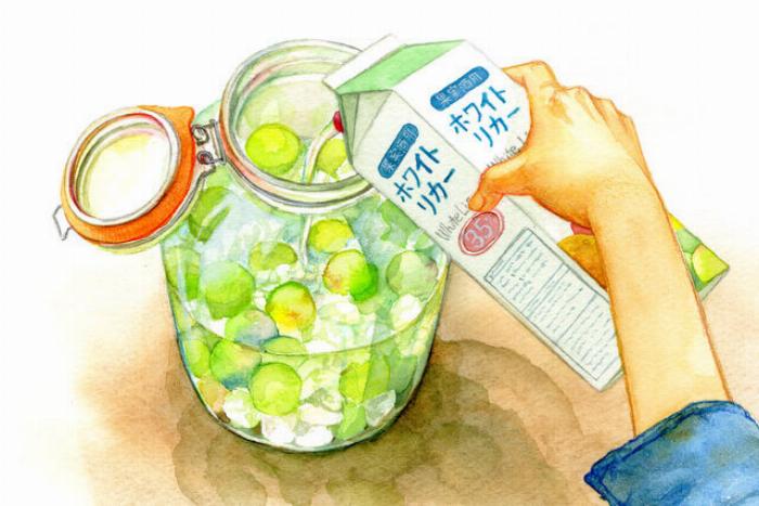 自家製梅酒の適切な度数を知り、美味しい一杯を楽しむための情報