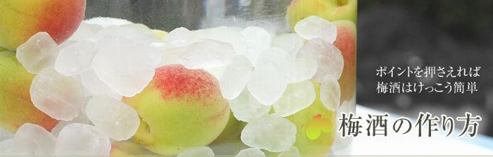 本みりんを使った梅酒の作り方で準備する青梅と氷砂糖