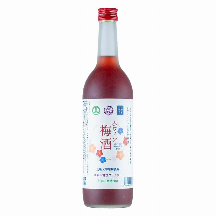 日本の梅酒の美しいグラスと梅の実、伝統的なリキュールの魅力