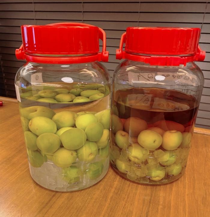 日本酒と青梅と氷砂糖を使った梅酒作りの材料一式