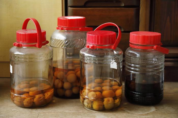 女性の手がガラスの保存瓶に青梅と氷砂糖を交互に丁寧に入れている仕込み作業のクローズアップ写真