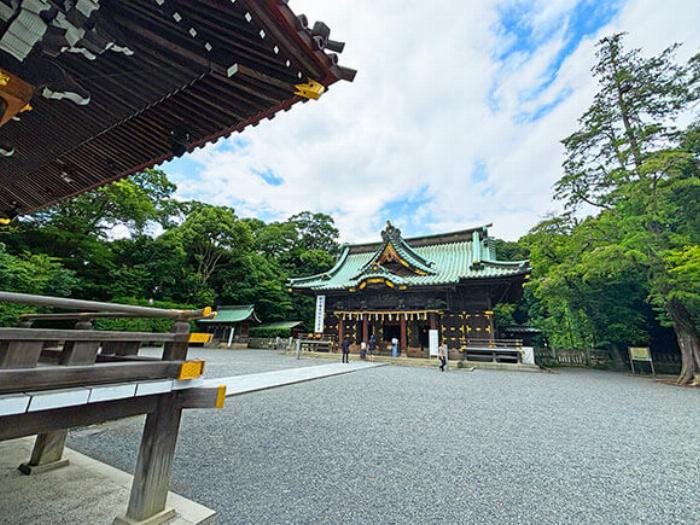 京都のお土産におすすめのおうすの里 梅酒、様々な種類のボトルが並ぶ様子