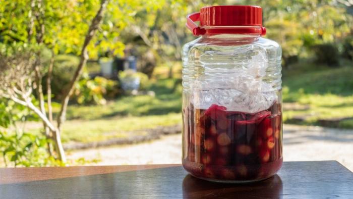 手作り梅酒の瓶の底にある安全な白い沈殿物の様子