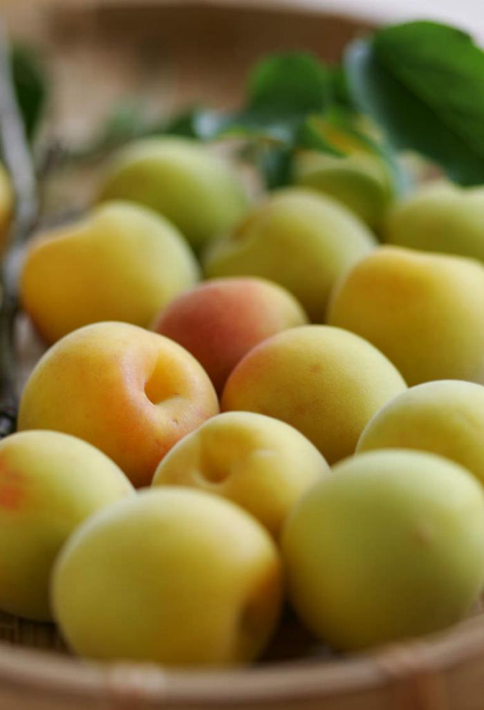 梅酒作りの材料である白加賀梅、氷砂糖、ホワイトリカー、ガラス瓶が木製のテーブルに並べられている