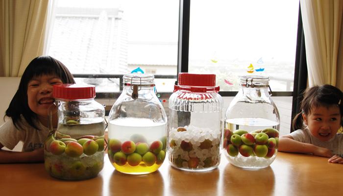 女性が手作り梅酒の瓶に青梅と氷砂糖を交互に丁寧に入れている工程のアップ写真