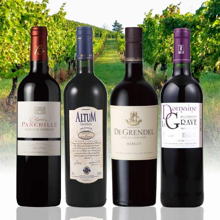 ロックで楽しむ十勝ワイン梅酒の濃厚な味わいと香りを表現したグラス