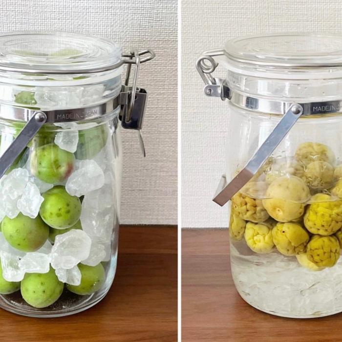 竹串でヘタを取った青梅と氷砂糖をガラス瓶に交互に詰めている様子