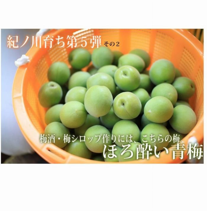 梅酒の原料である青梅、氷砂糖、そして透明な瓶に入ったお酒が木のテーブルの上に配置されている