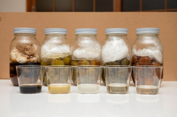 発酵して泡が出ている失敗した梅酒の画像