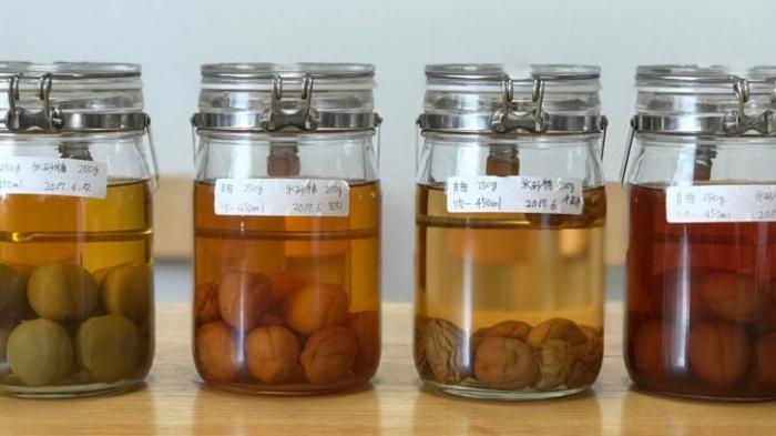 最適な梅酒の保存場所である冷暗所と開封後に入れる冷蔵庫の様子