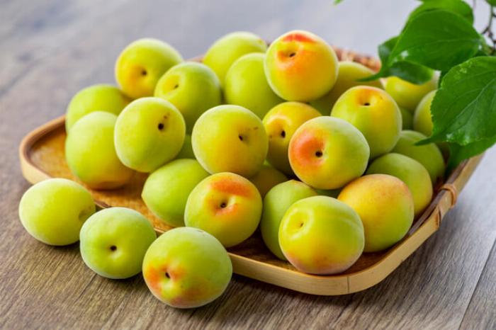 梅酒に発生した青カビと白カビの失敗画像