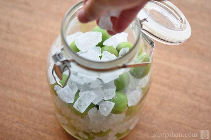 梅酒とお湯を美味しい割合で混ぜる作り方の手順を示す画像