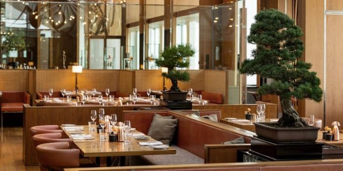 梅酒ストレートが入ったグラスの横に、チーズとナッツが盛り付けられたお皿を置いたおしゃれなペアリングのシーン