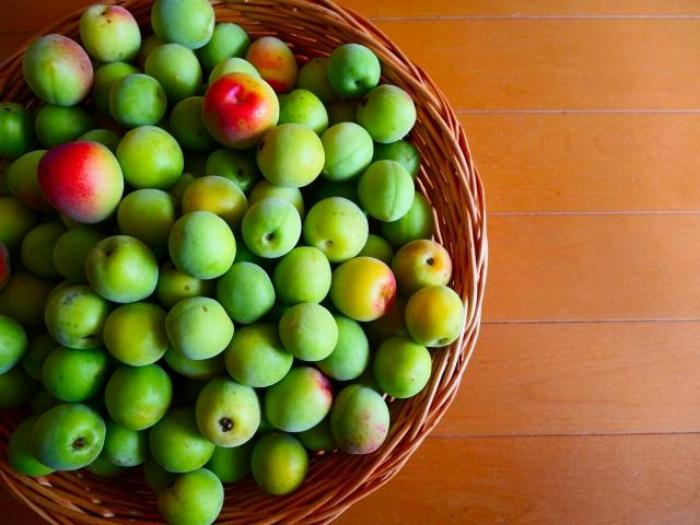 青梅、氷砂糖、ホワイトリカーのボトル、そして大きなガラス瓶が木製のテーブルの上に並べられている様子