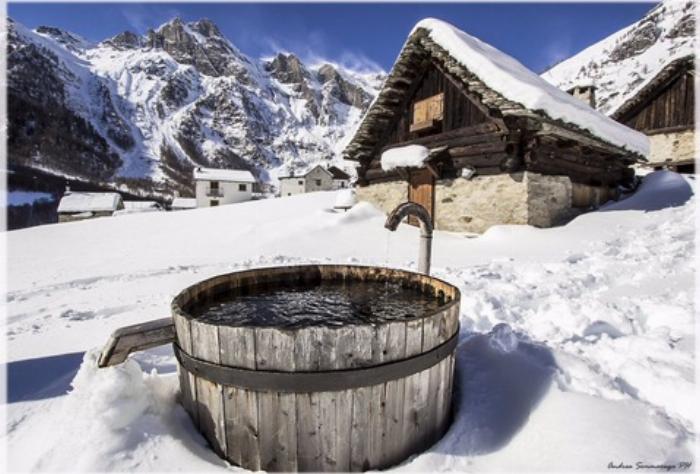 滅菌したトングを使って大きなガラス瓶から梅酒の梅を丁寧に取り出す作業風景